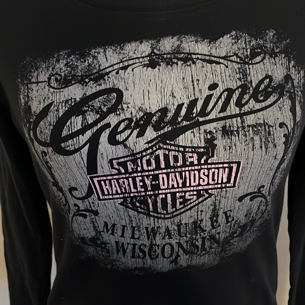 Harley Davidson Black Mt McKinley Denali Park Alaska Graphic Shirt - Picture 4 of 13